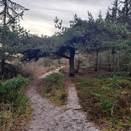 Ferienhaus 12 Person In Hals-by Traum